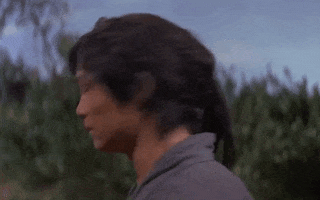 martial arts smile GIF by Shaw Brothers