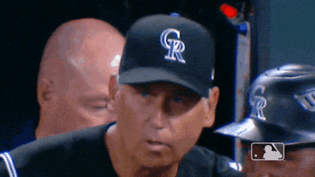 Major League Baseball Sport GIF by MLB