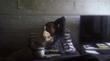 Doggy GIF