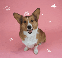 200.gif