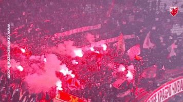 Red Star Fire GIF by FK Crvena zvezda Red Star Fire GIF by FK Crvena zvezda
