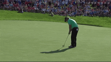 GSE Worldwide GIF