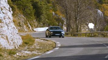 Ford Sascar GIF