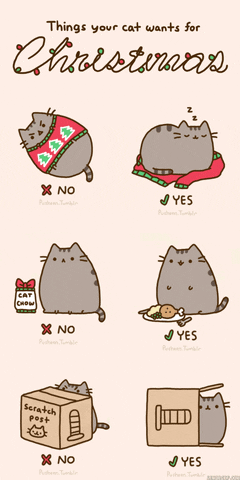 Cat Humor #8