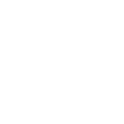 Voiz Sticker