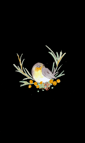 hiroquoi watercolor oiseau hiroquoi GIF