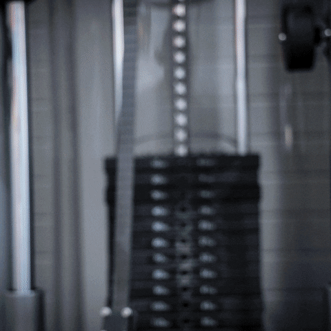 GIF by Vision Personal Training