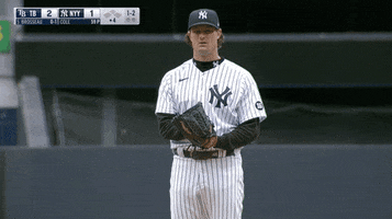 New York Yankees No GIF by Jomboy Media