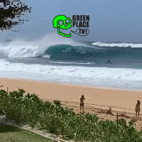 Kelly Slater Wave GIF by Greenplace TV