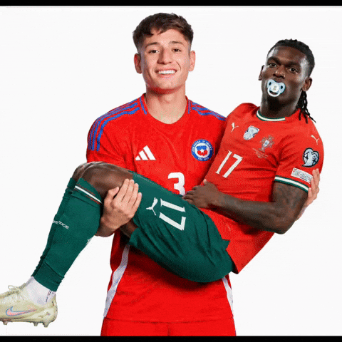 Chile GIF
