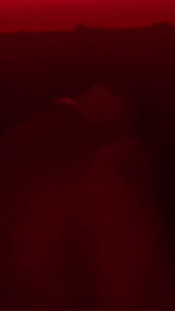 Asrm GIF by Bigcamiam