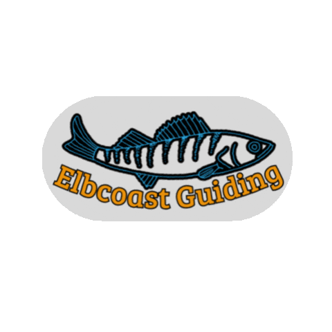 Zander Sticker by Elbcoast Guiding