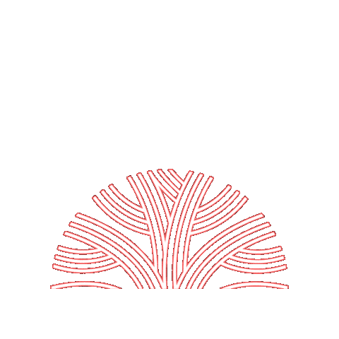 Oaks International @ Ualbany Sticker