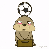 Football Keep GIF by ShiGai