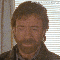 Chuck Norris Yes GIF by Sony Pictures Television