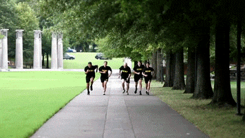 Army Guard Fitness GIF by NationalGuard