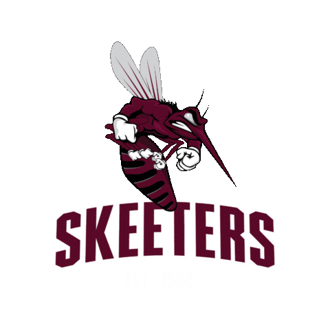 Mesquite ISD Sticker