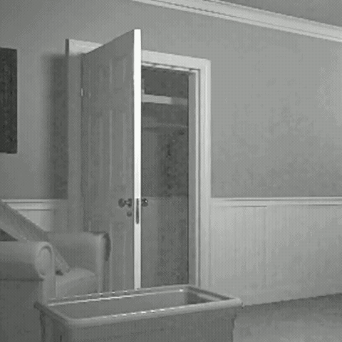 Ghost GIF