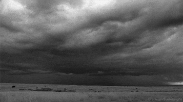 black and white clouds GIF