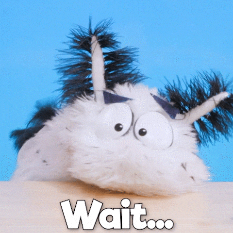 Confused Wait What GIF by Aquarium of the Pacific