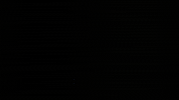 Audicon GIF