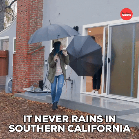 California Raining GIF by BuzzFeed