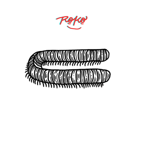 Animation Centipede GIF