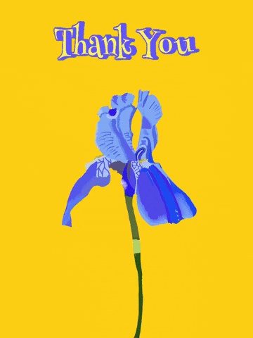 Flower Thank You GIF by Daisy Lemon