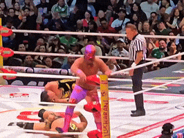 Wrestling Heel GIF