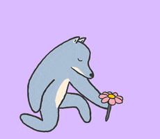 Digital illustration gif. Gray wolf holds the stem of a pink flower against a bright pastel purple background. The wolf does a cute spin as it wink and holds out the flower to offer it to us. 