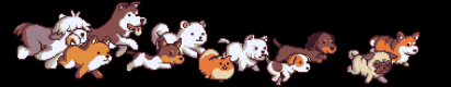 Dogrush Rushdog GIF