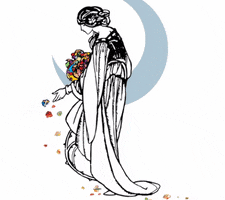 Moonshadow Festival GIF