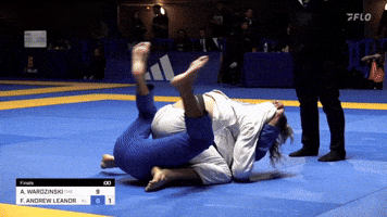World Champion Bjj GIF