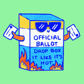 Vote Now Election 2020