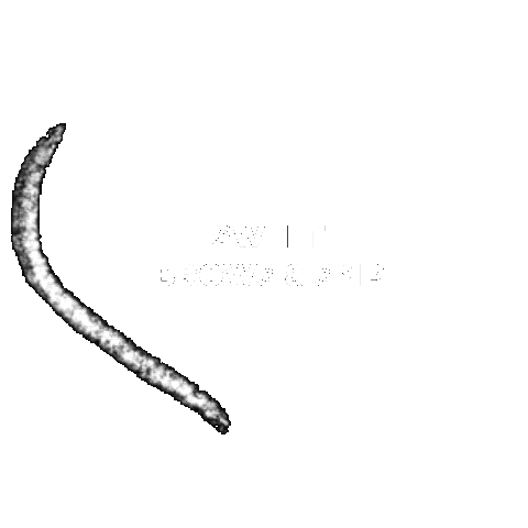 Sweetsmp Sticker by SWEET BROWS & SMP