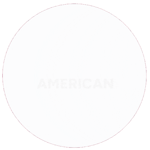 American Usa Sticker by Peace Corps