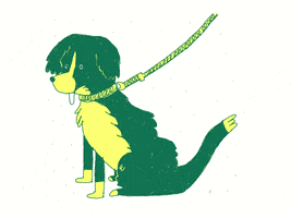 Crayolau GIF