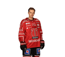 Good Goal Sticker by Örebro Hockey