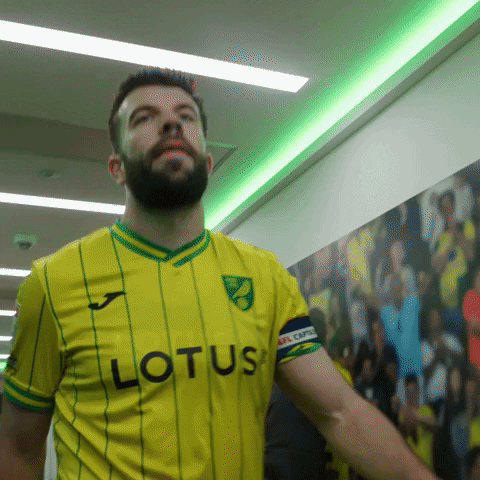 Premier League Soccer GIF by Norwich City Football Club