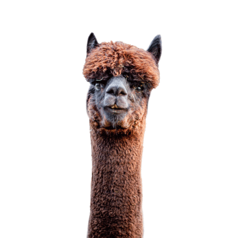 Mostheuriger & Alpakahof Wagner Hubbauer Sticker