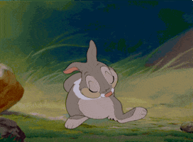 thumper gif thumper gif