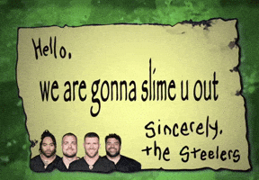 Pittsburgh Steelers GIF