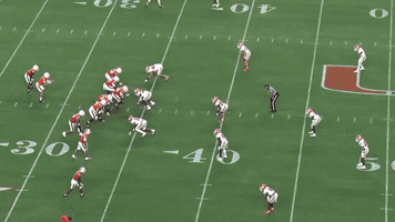 Nfl Draft GIF