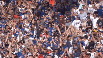 Mlb Celebrate GIF by New York Mets