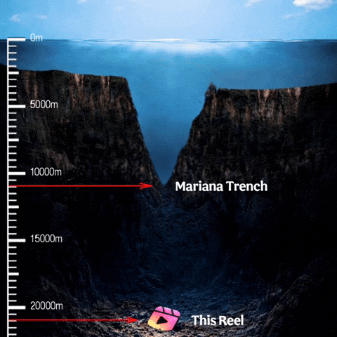 Mountain Peak Wtf GIF