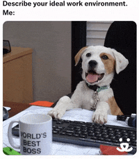 9x24-dogs-best-friend GIFs - Get the best GIF on GIPHY