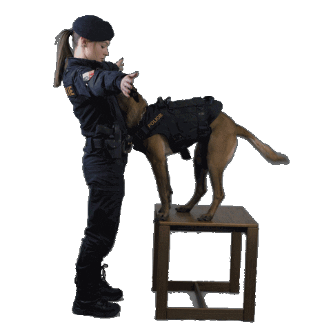 Dog Kiss Sticker by Policie České republiky