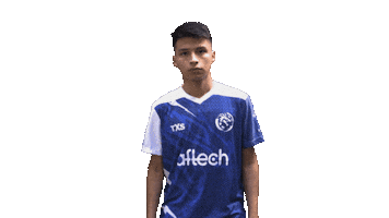 Esports Leviatan Sticker by LeviatanEsports