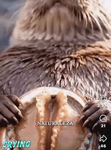 Big GIF