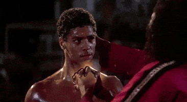 Bruce Leroy GIF